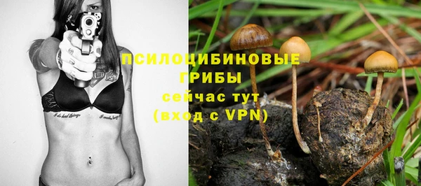 гидропоника Алексеевка