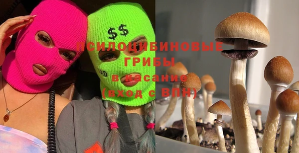 гидропоника Абдулино