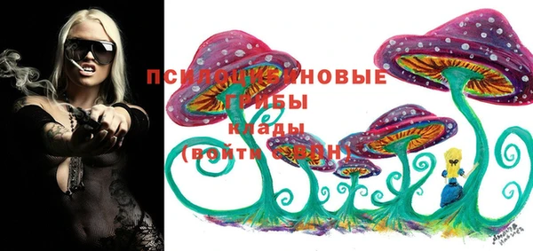 ALPHA-PVP Алексин